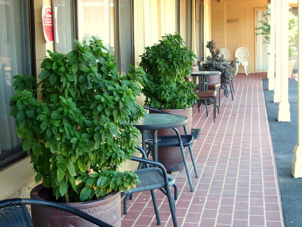 Murray River Motel Swan Hill Room photo